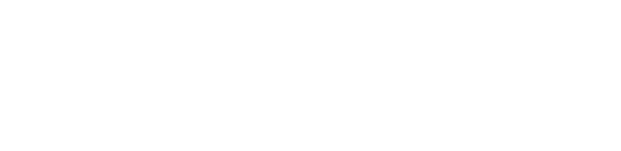 Logo PEISA